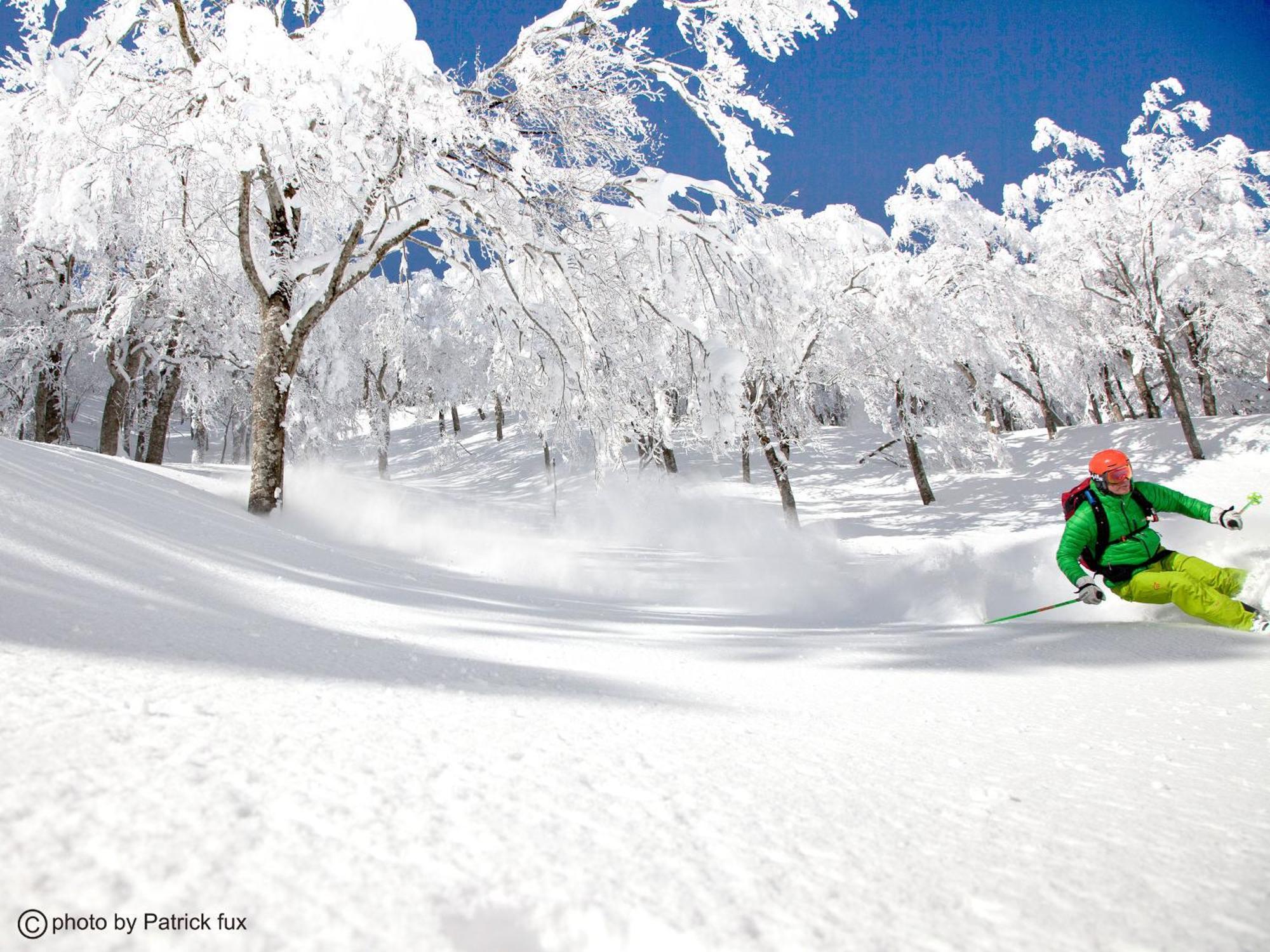 Hotel Green Plaza Hakuba Otari Dış mekan fotoğraf
