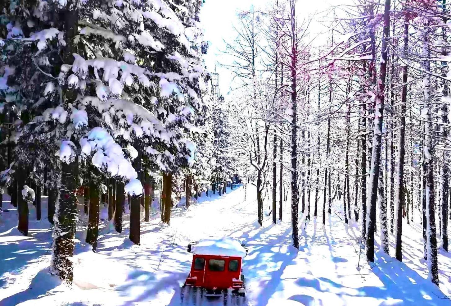 Hotel Green Plaza Hakuba Otari Dış mekan fotoğraf